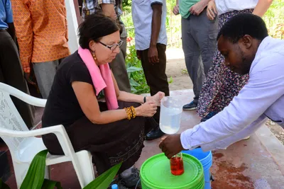 DSC_8594 (Large).JPG